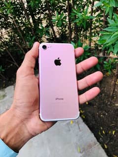 iPhone 7 PTA approved