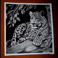 A Leopard drawing. 0