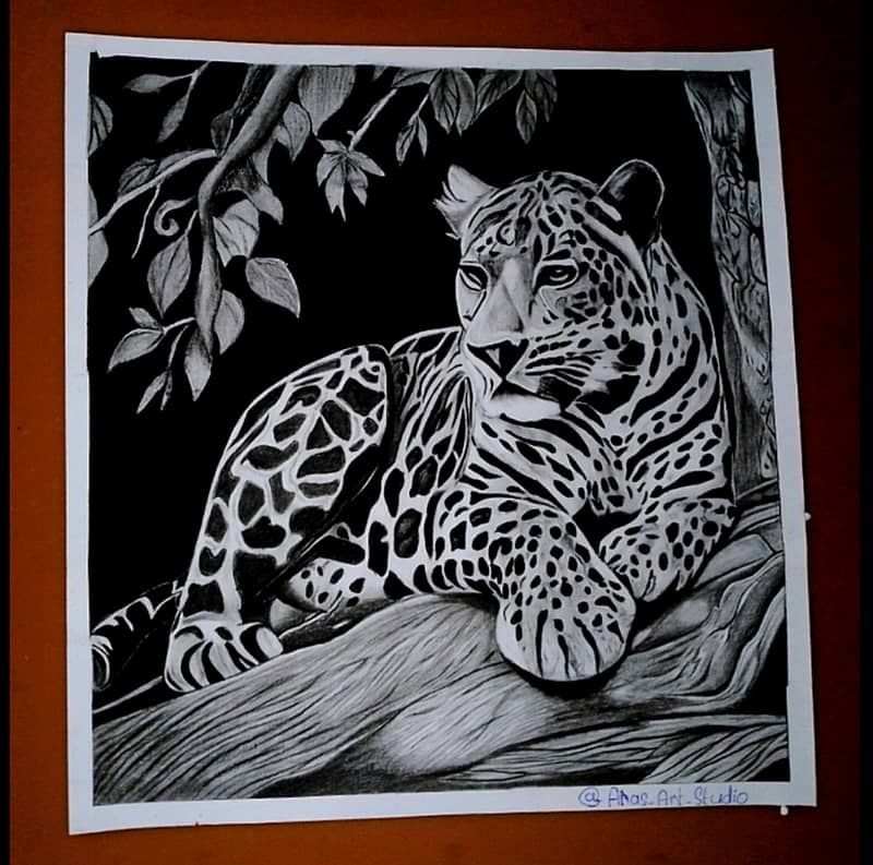 A Leopard drawing. 0