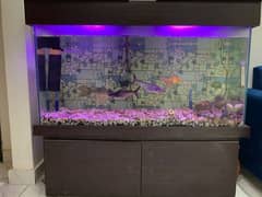 Aquarium Complete Set For Sale