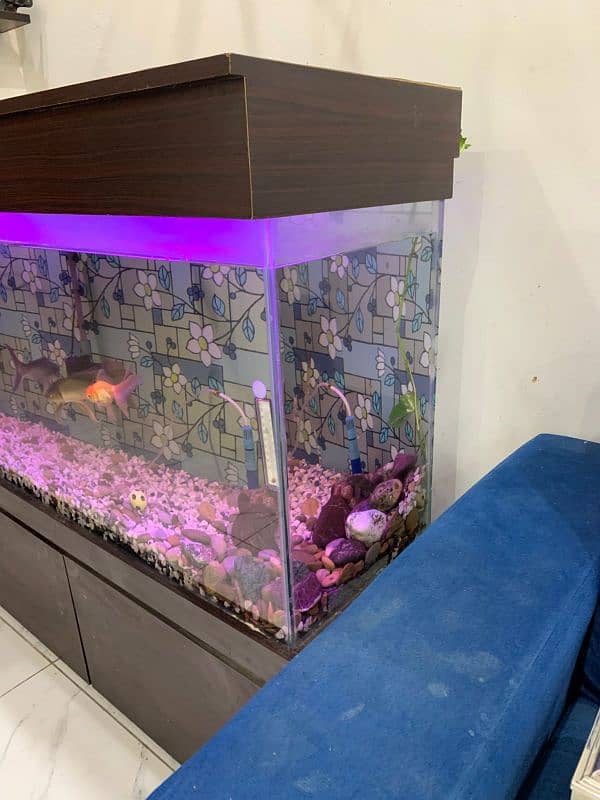 Aquarium Complete Set For Sale 1