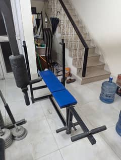 Adjustable Bench & Weights