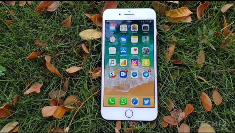 Iphone 8 Plus 256 GB PTA Approved 1