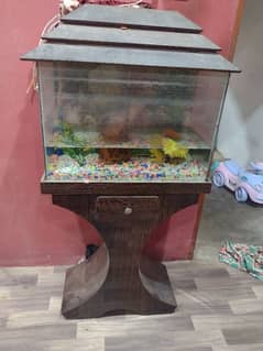 Fish Aquarium