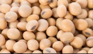 soya beans