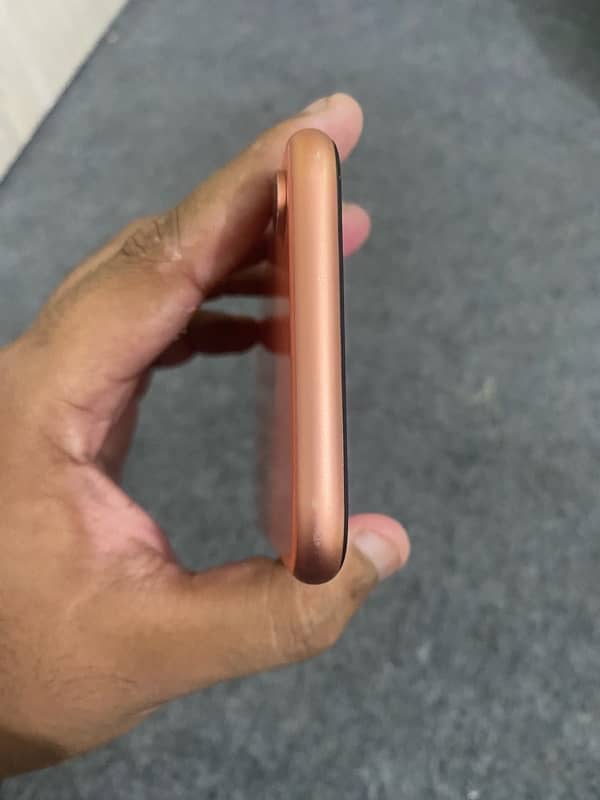 iphone xr dual pta approved 2