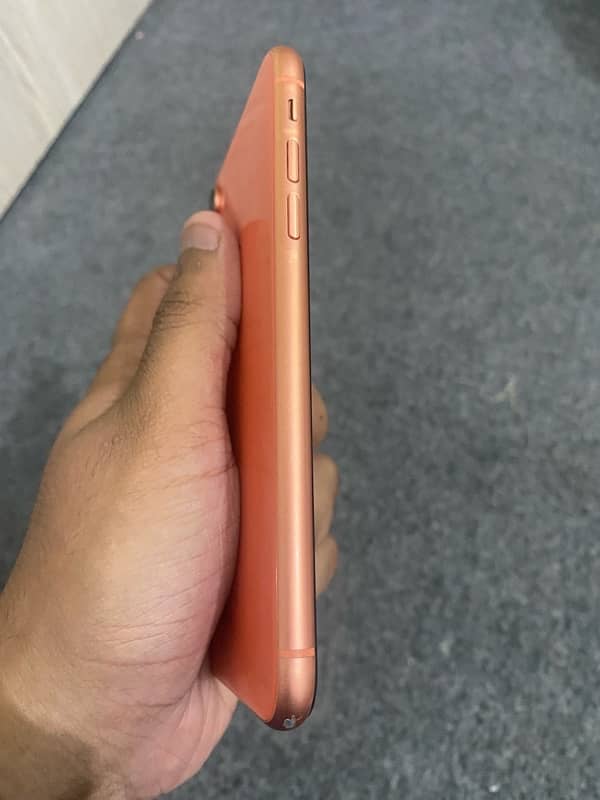 iphone xr dual pta approved 3