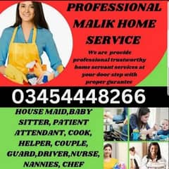 professional Maid, Baby sitter, patient attendent, cook, helper. . .