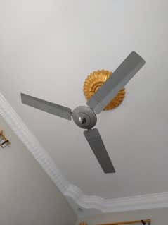 Selling fan