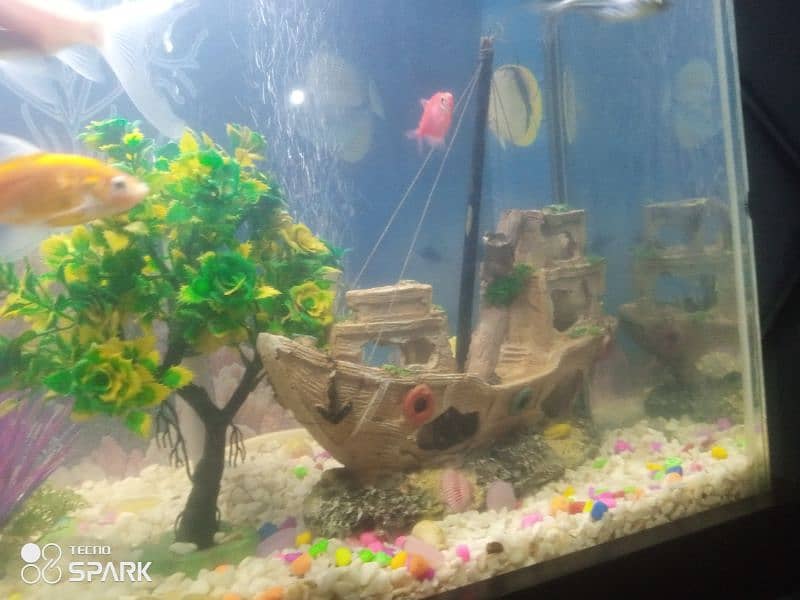 Aquarium decorative boat 1