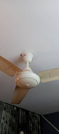 Royal Ceiling Fan