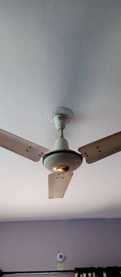 Royal Ceiling fan 0