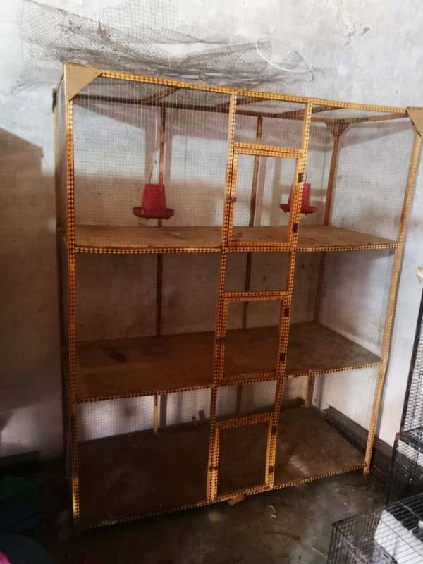 Bird cage available 2