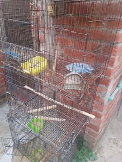 bird cage for sale