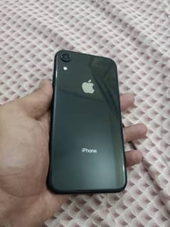 Iphone Xr Pta Approved