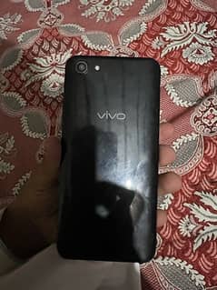 vivo