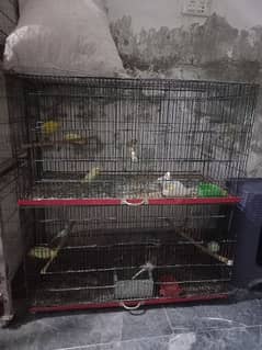 2 portion cages for sale