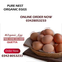 DESI EGGS. PURE ORGANIC DESI EGGS