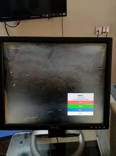 Dell Monitor 100% Working