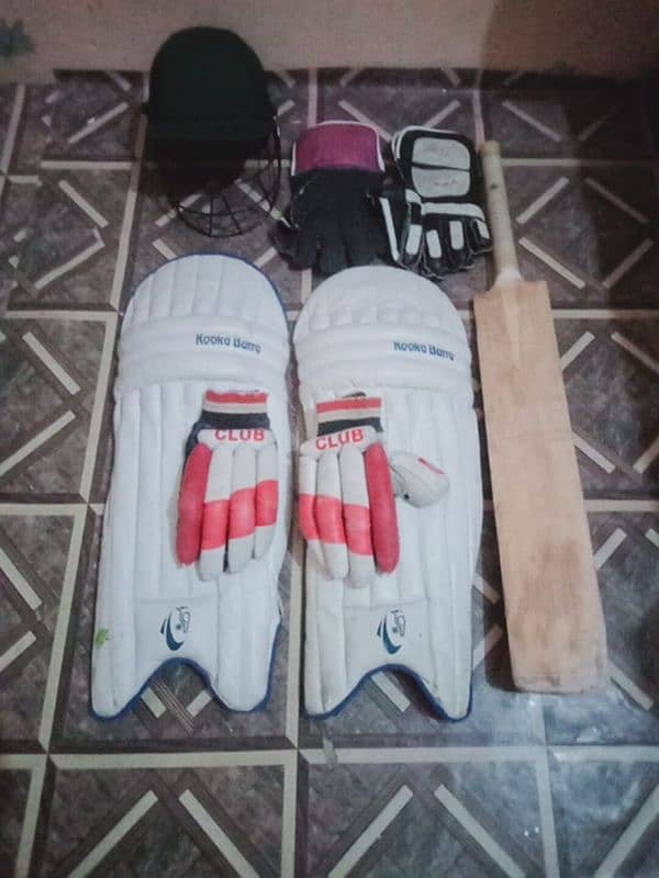 Hard ball cricket kit 1