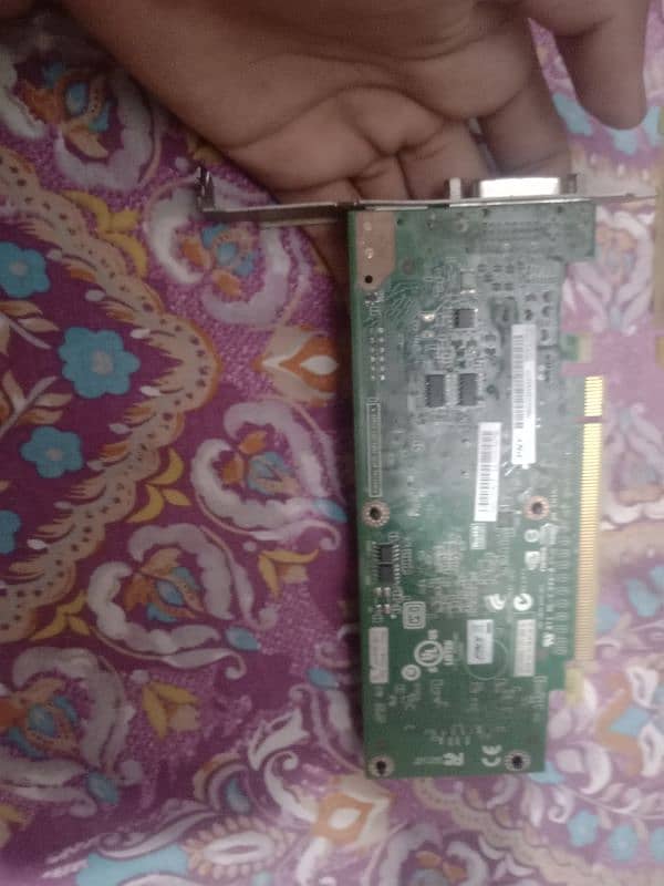 navidia graphic card in cheap price 1