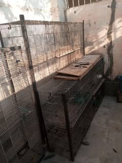 Cage Pinjra for sale