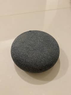 Google Home Mini