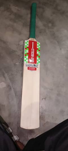 Kashmir willow bat