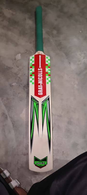 Kashmir willow bat 2