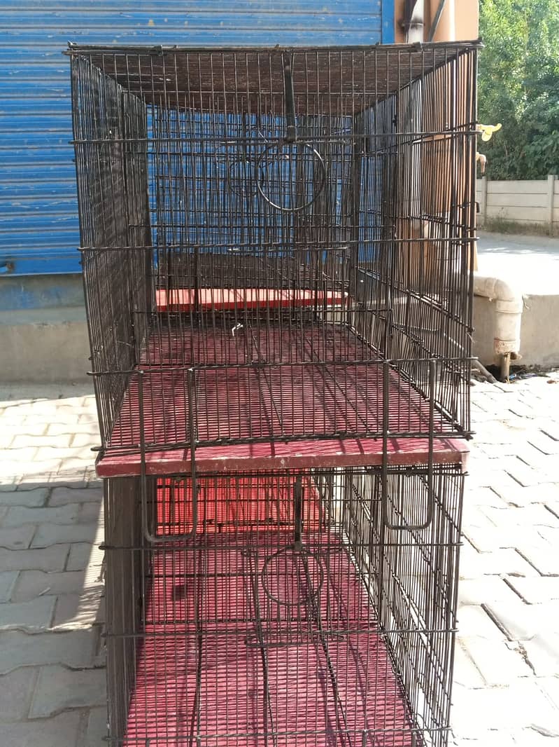 Parrot cages 2