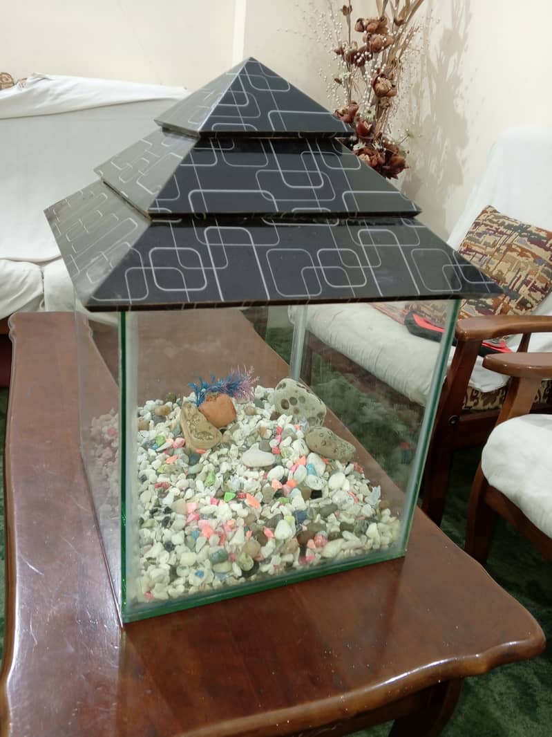 Aquarium with Pebbles 1