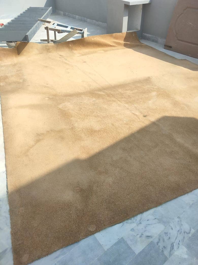 Carpet 12 x 14 feet 0