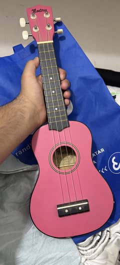 BRAND NEW UKULELE