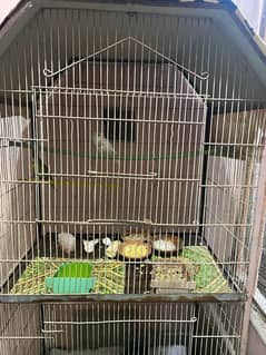 Birds 3 portion Cage (Pinjra) 0