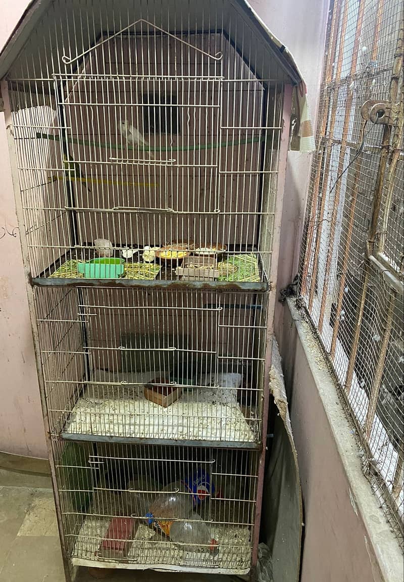 Birds 3 portion Cage (Pinjra) 1