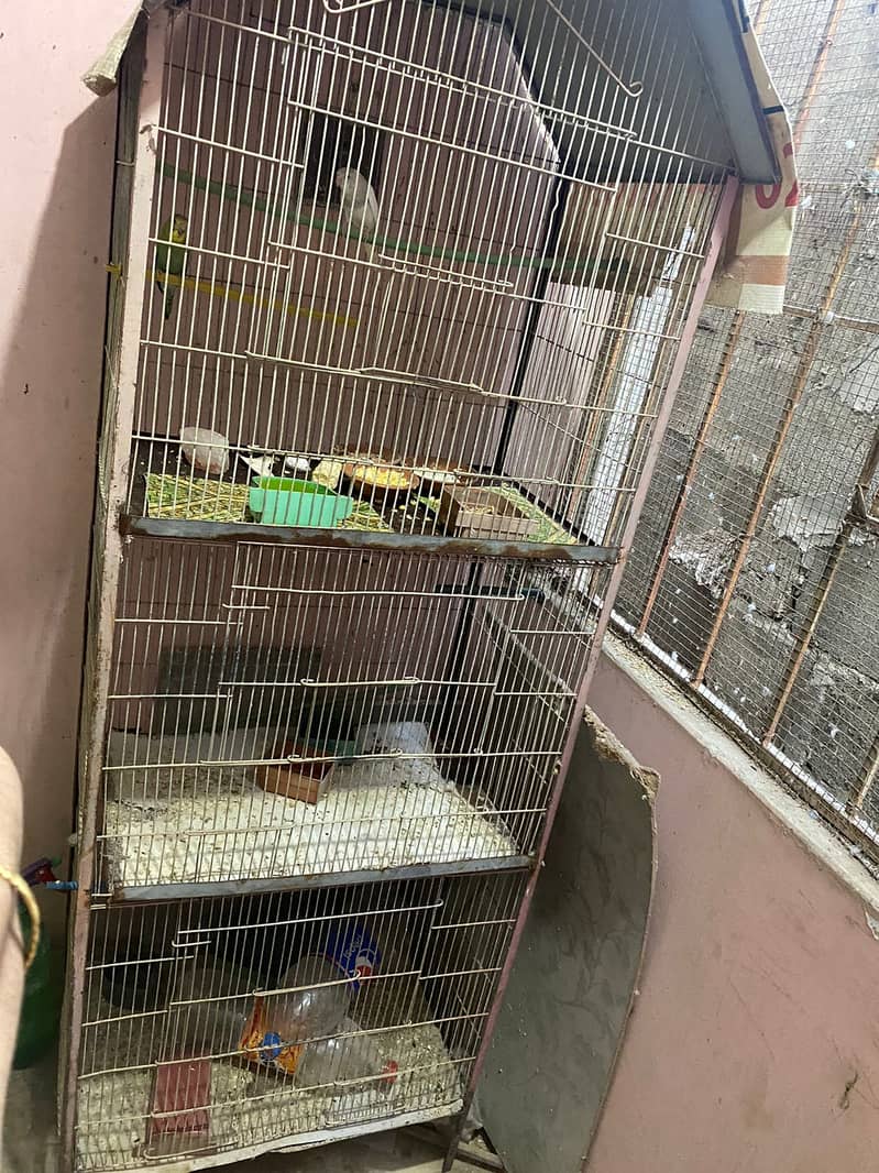 Birds 3 portion Cage (Pinjra) 2