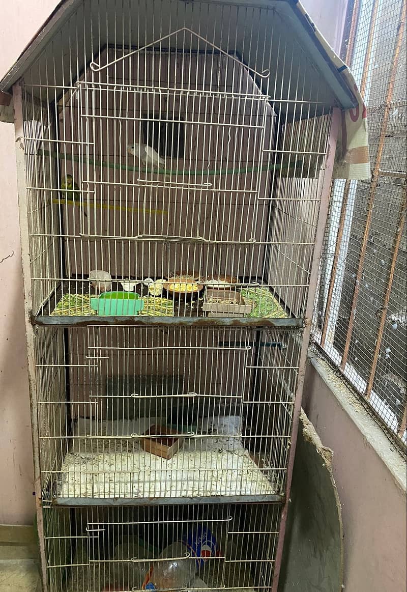 Birds 3 portion Cage (Pinjra) 3