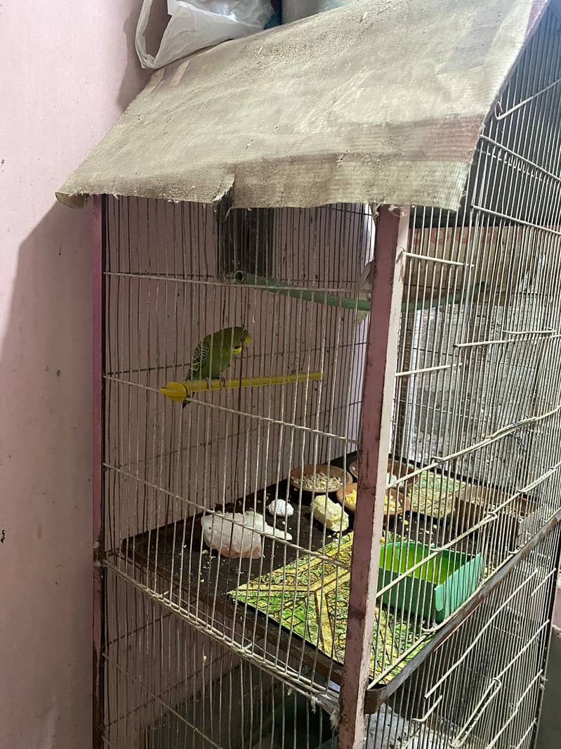 Birds 3 portion Cage (Pinjra) 4