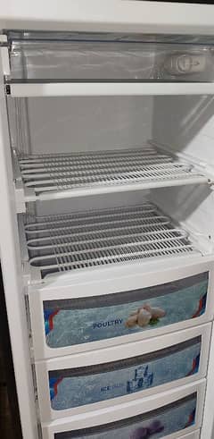 VERTICAL FREEZER