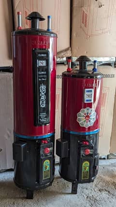 Electric plus Gas Geyser