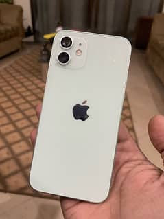 IPHONE 12 JV (Avail this chance hurry up)