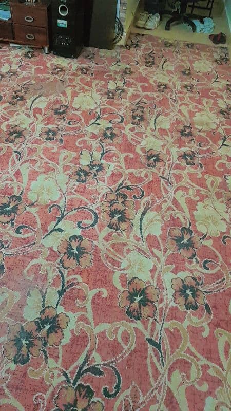 12 X 12 beautiful looking carpet and thick 2