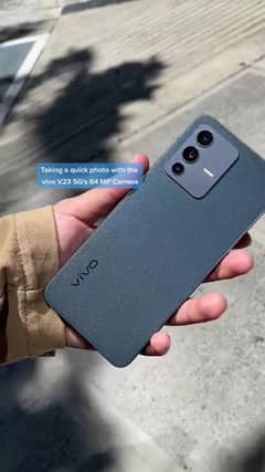 vivo