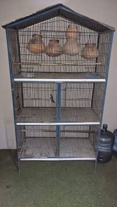 Bird iron cage