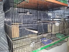 cages for sale