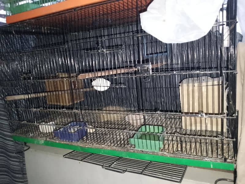 cages for sale 1