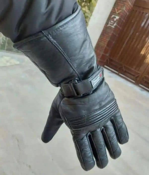 Leather Gloves 1