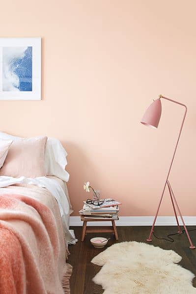 pink color room paint velvet touch dulux company 1