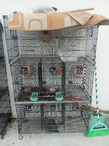 Birds Folding cages 5