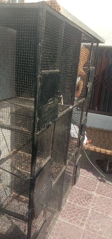 Parrot cage 1